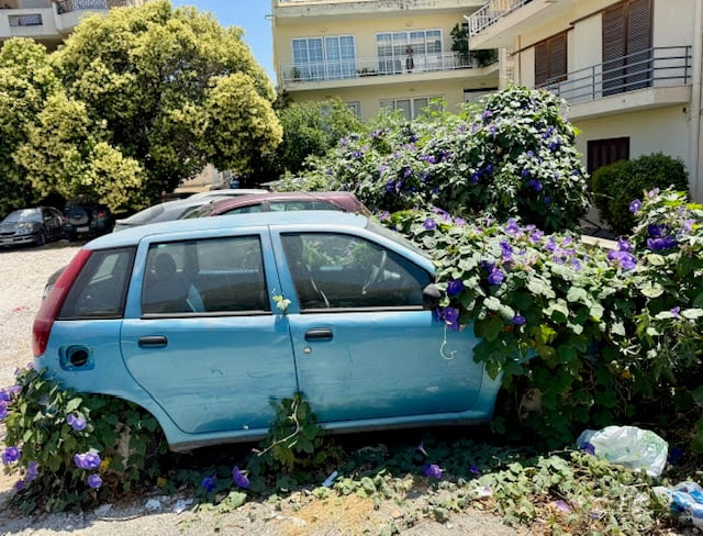 Picture of a Car overgrown with flowers (Photo from Denise Boudreau, Greece)